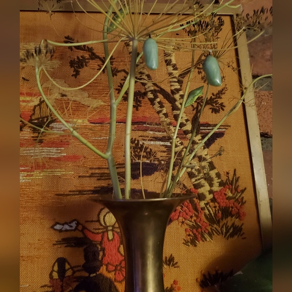 Meet your Posher, Mariel - Picture 7 of 8